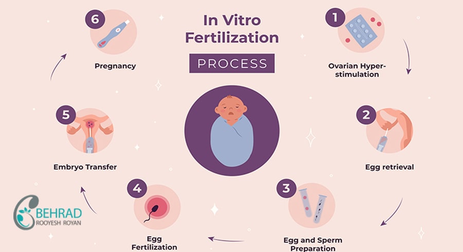 ivf process