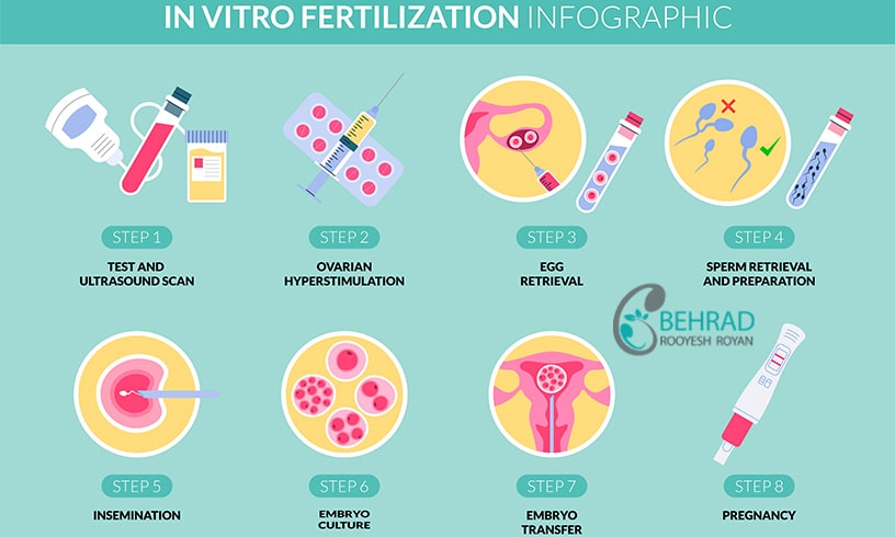 ivf method