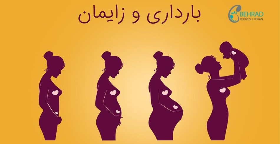 بارداری و زایمان