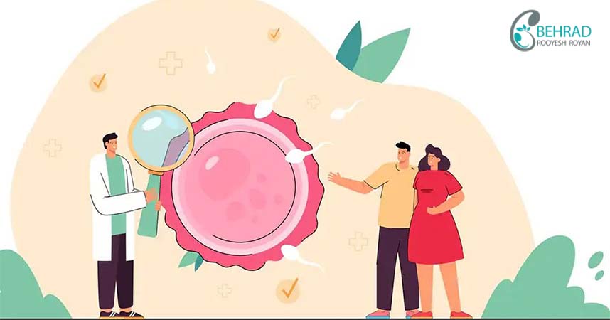 effect-of-obesity-on-infertility
