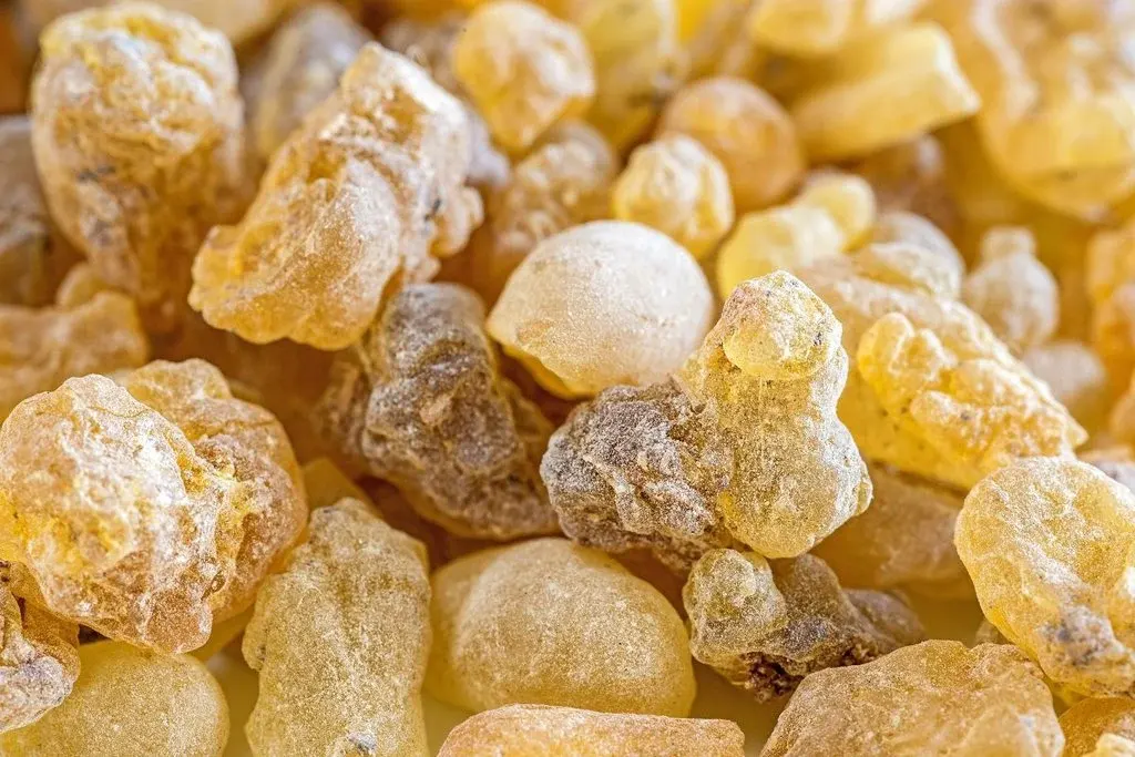 تاثیر کندر بر جنین
