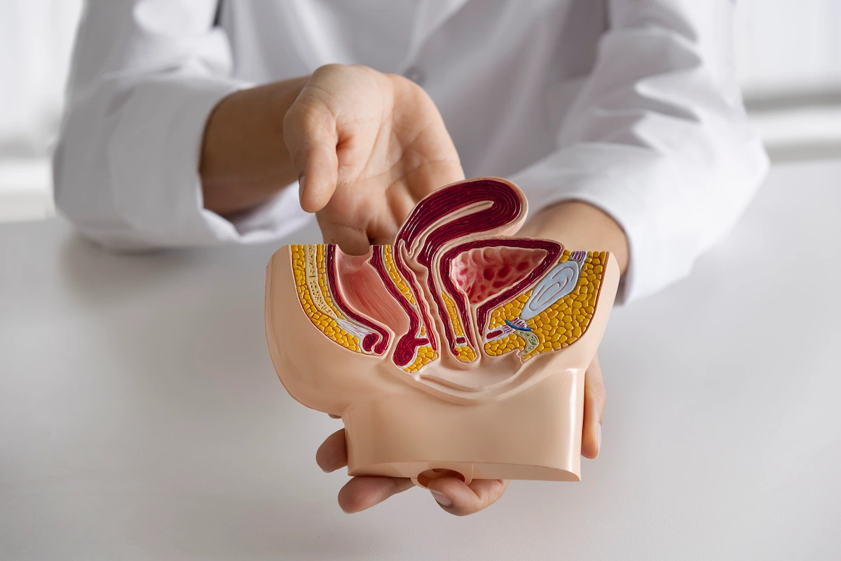 علائم واریکوسل چیست